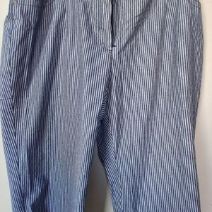 Blue and White Striped Pants